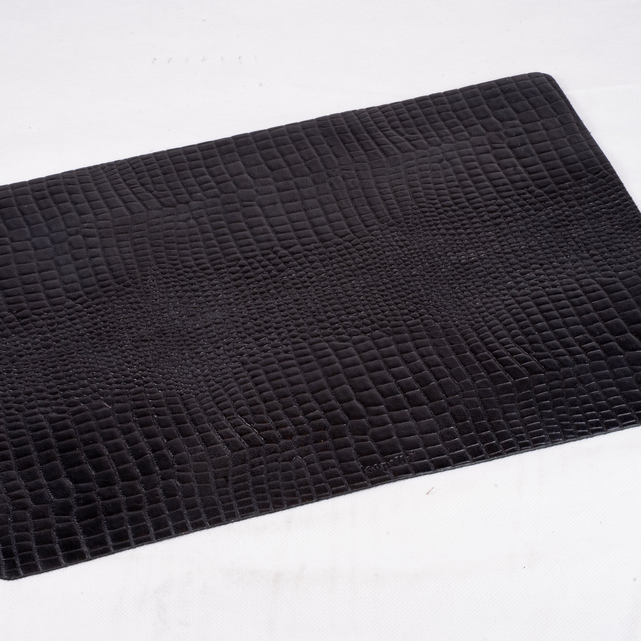 Reptile Placemat
