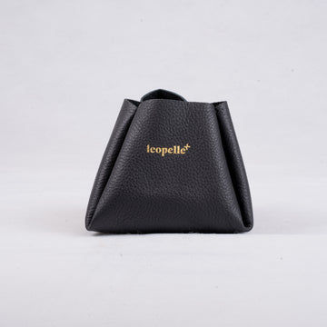 Mini Case